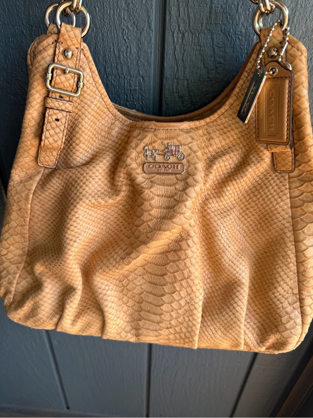 Coach Beige Python-Embossed Leather Shoulder Hobo - Picture 3 of 13